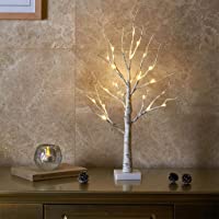 EAMBRITE Árbol de Luz LED 60cm Abedul 24LT Luz Blanca Cálida Funciona con Pilas- Soporte de Joyería- Decoración para…